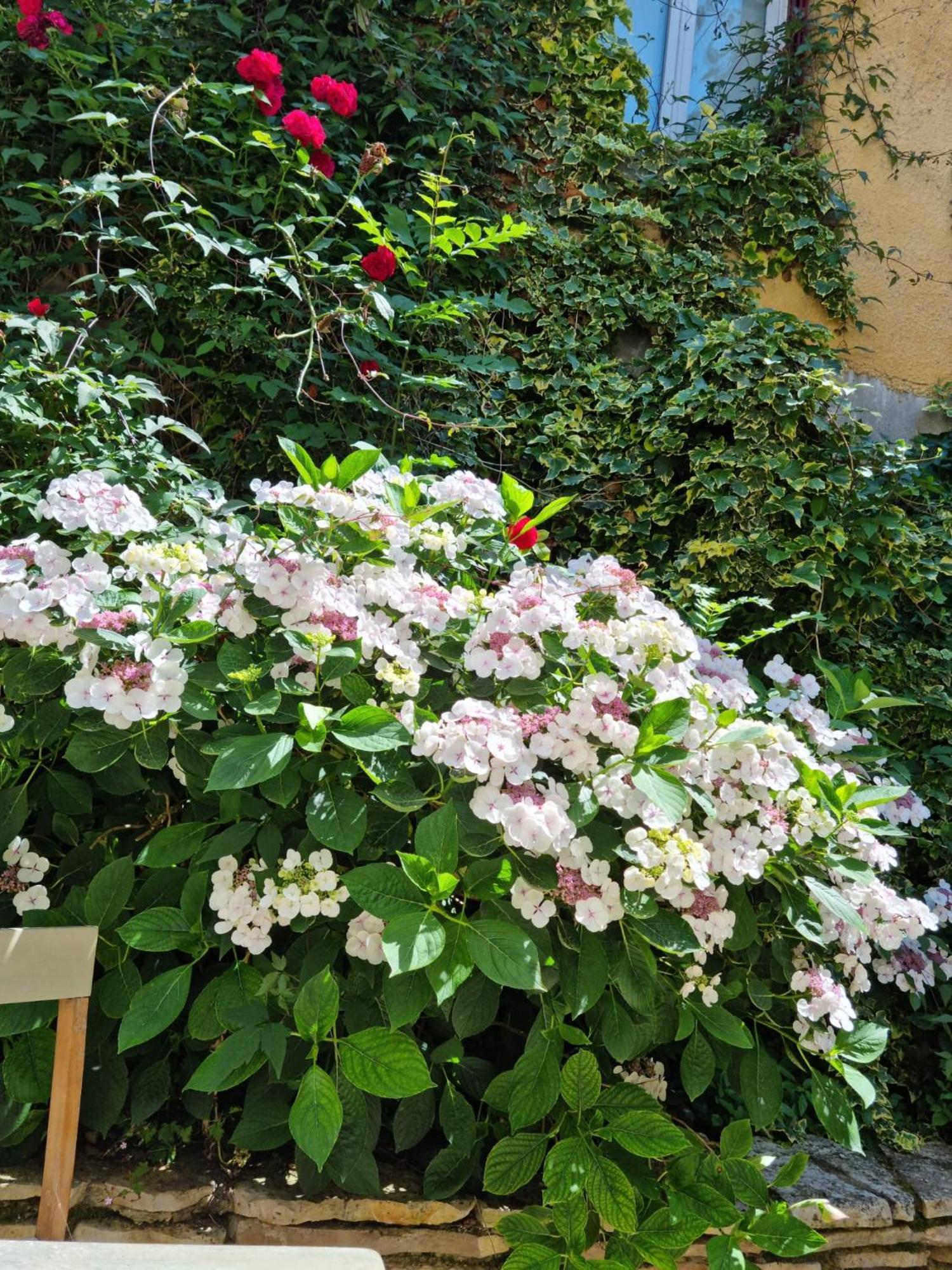 Suite De Charme Avec Jacuzzi Et Jardin Privatif Paris Au Calme Saint-Prix (Val d'Oise) المظهر الخارجي الصورة